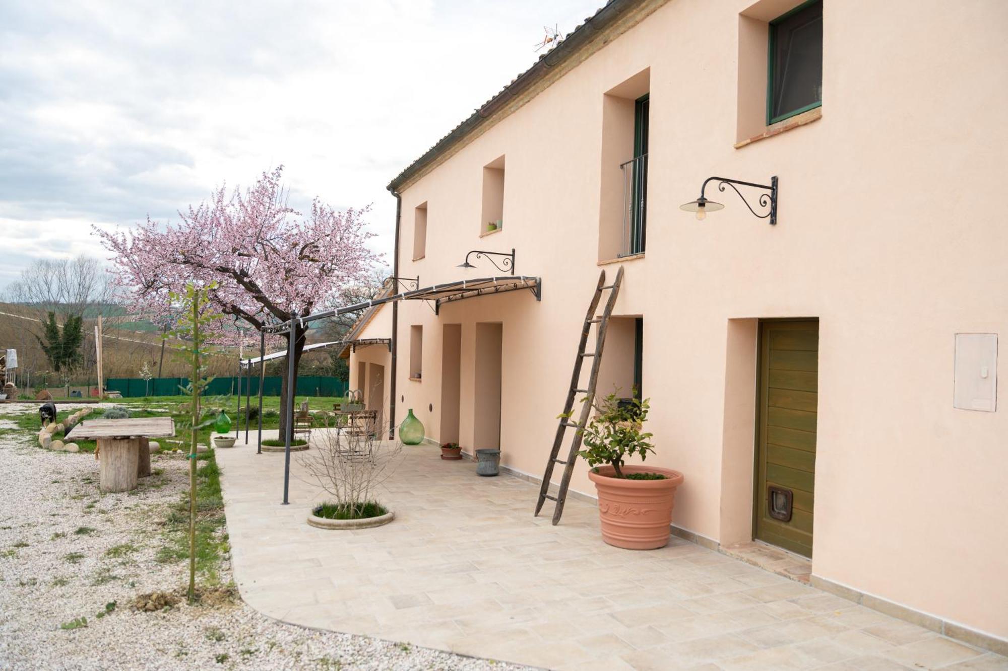 B&B Le Rondini Ostra Senigallia Casine  Eksteriør billede