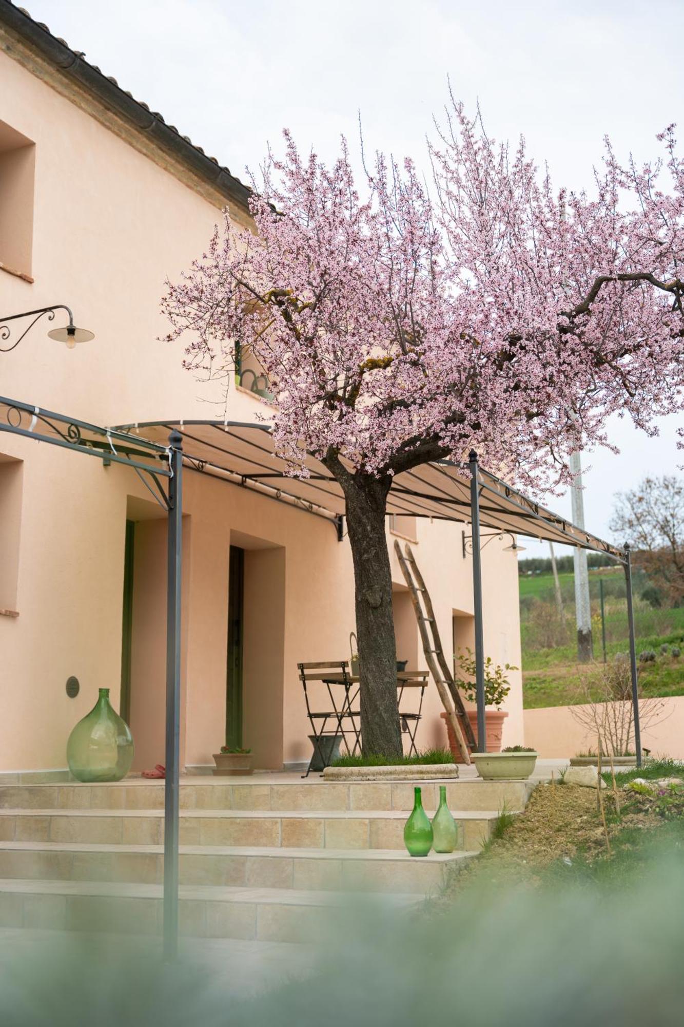 B&B Le Rondini Ostra Senigallia Casine  Eksteriør billede